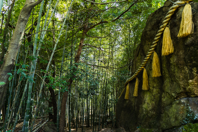 【姫路の隠れパワースポット】破磐神社の割れ岩と聖なる竹林