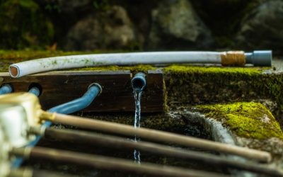 【伝説の水】疫病から人々を救った神河町熊野神社の神水