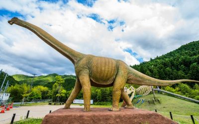 【世紀の大発見】日本最大の恐竜・丹波竜の化石発掘地