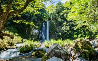 【沖縄ター滝！？】豊岡市・八反滝が最高の避暑地でファミリー向け！